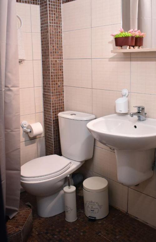 Apartment Pelekan And Athina 23 Pefkochori